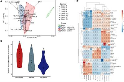 Juvenile hormone modulates hydrocarbon expression and reproduction in the german wasp Vespula germanica